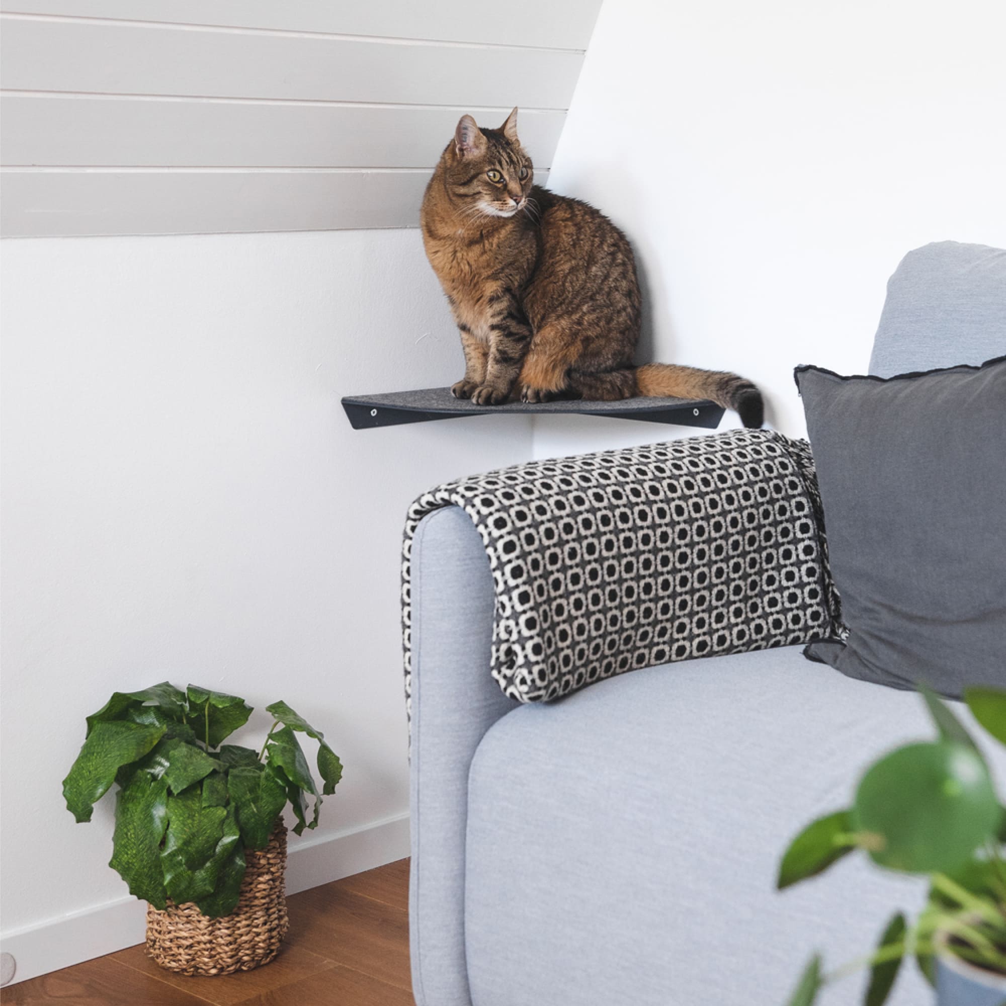 CORNER Kattenligstoel & Klimtrap voor de hoek