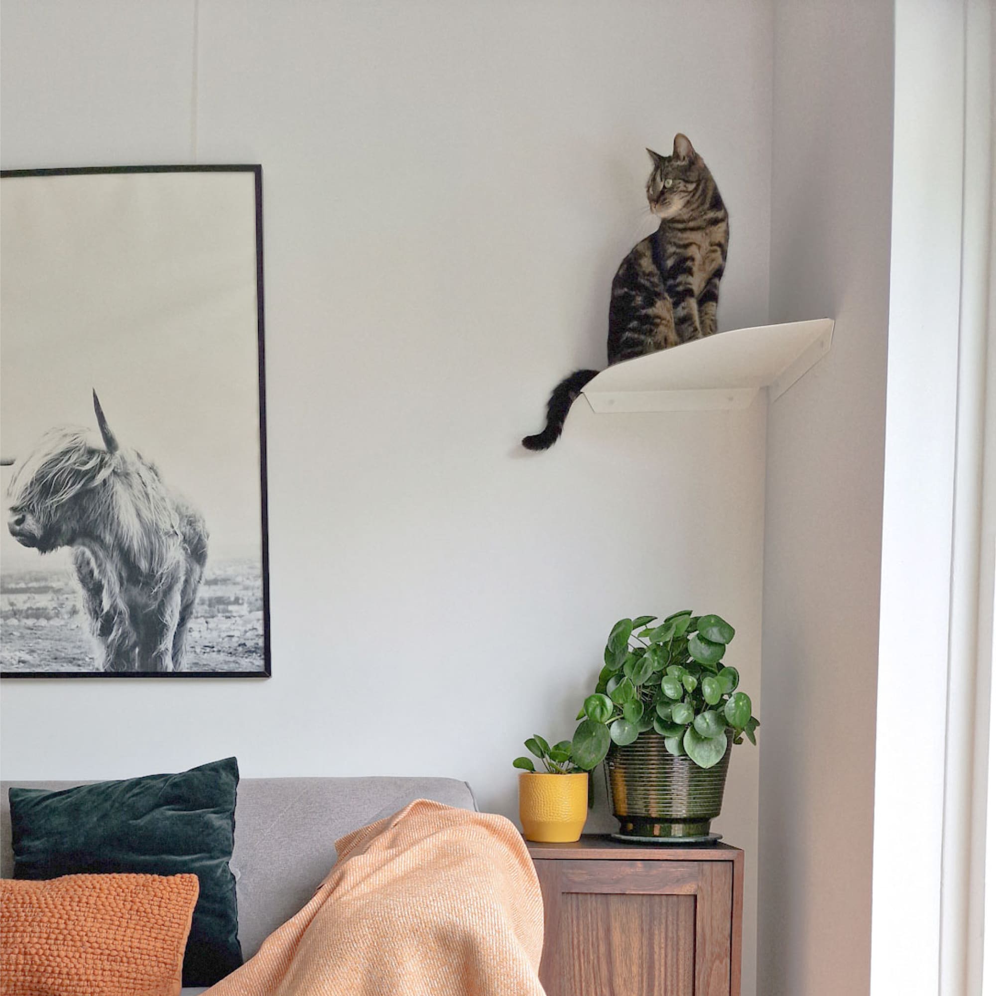 CORNER Kattenligstoel & Klimtrap voor de hoek