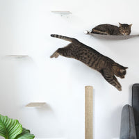 Katzenwand