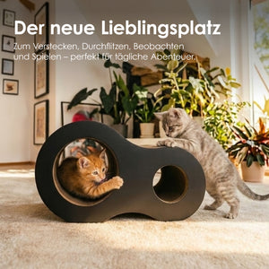 PLAYGROUND krabwereld