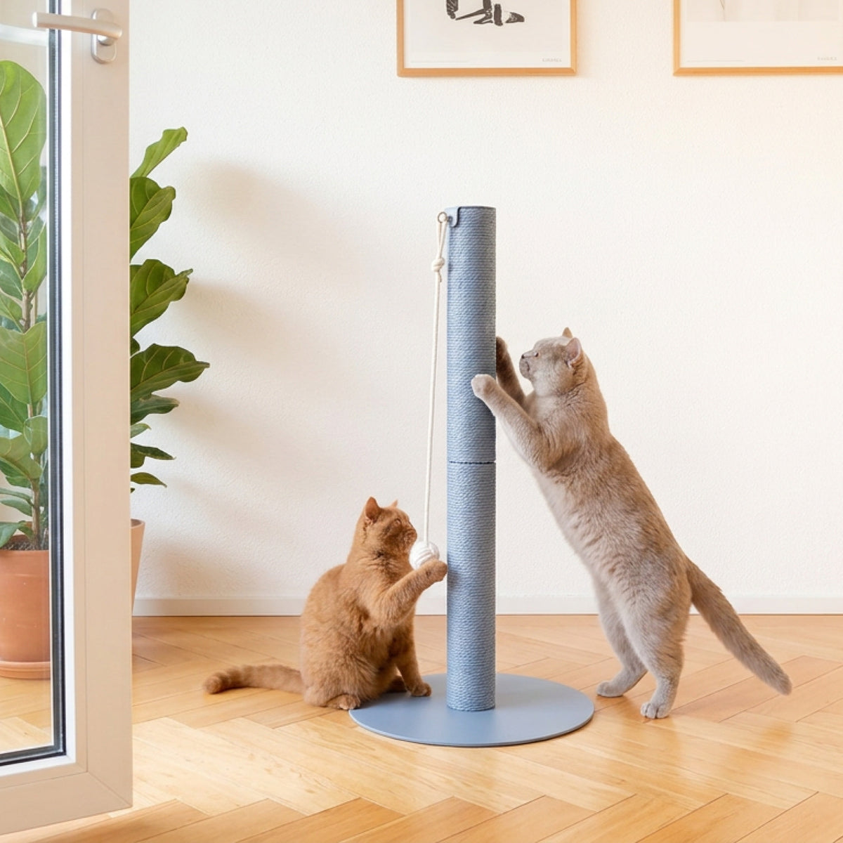 helles interior mit blauer lucybalu katzen kratzsaeule