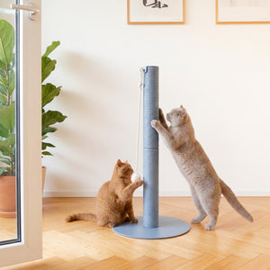 helles interior mit blauer lucybalu katzen kratzsaeule