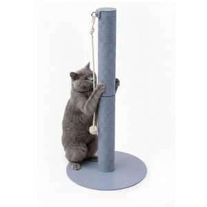 blauer katzen kratz stamm pappe