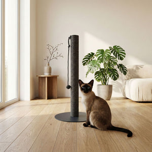 helles interior mit anthrazit deisgn katzen kratzsaeule