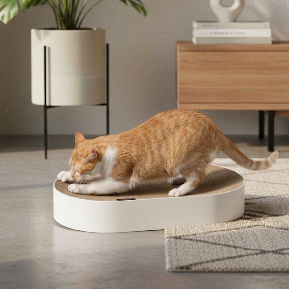 SCRATCHBED Kartonbett