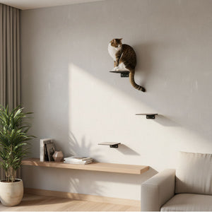 STEPS Kattentrappen