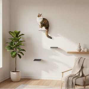 STEPS Kattentrappen