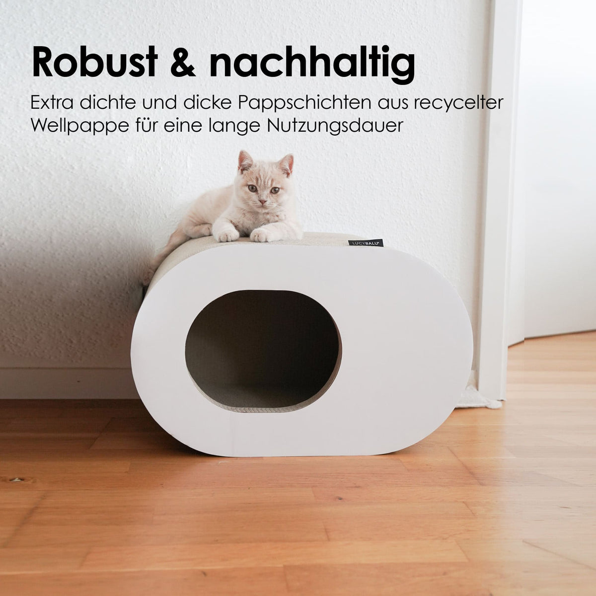 PAPERCAVE kattengrot