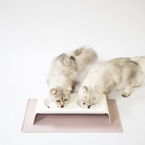Feeding station & place mat set