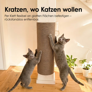 PLAYGROUND krabwereld