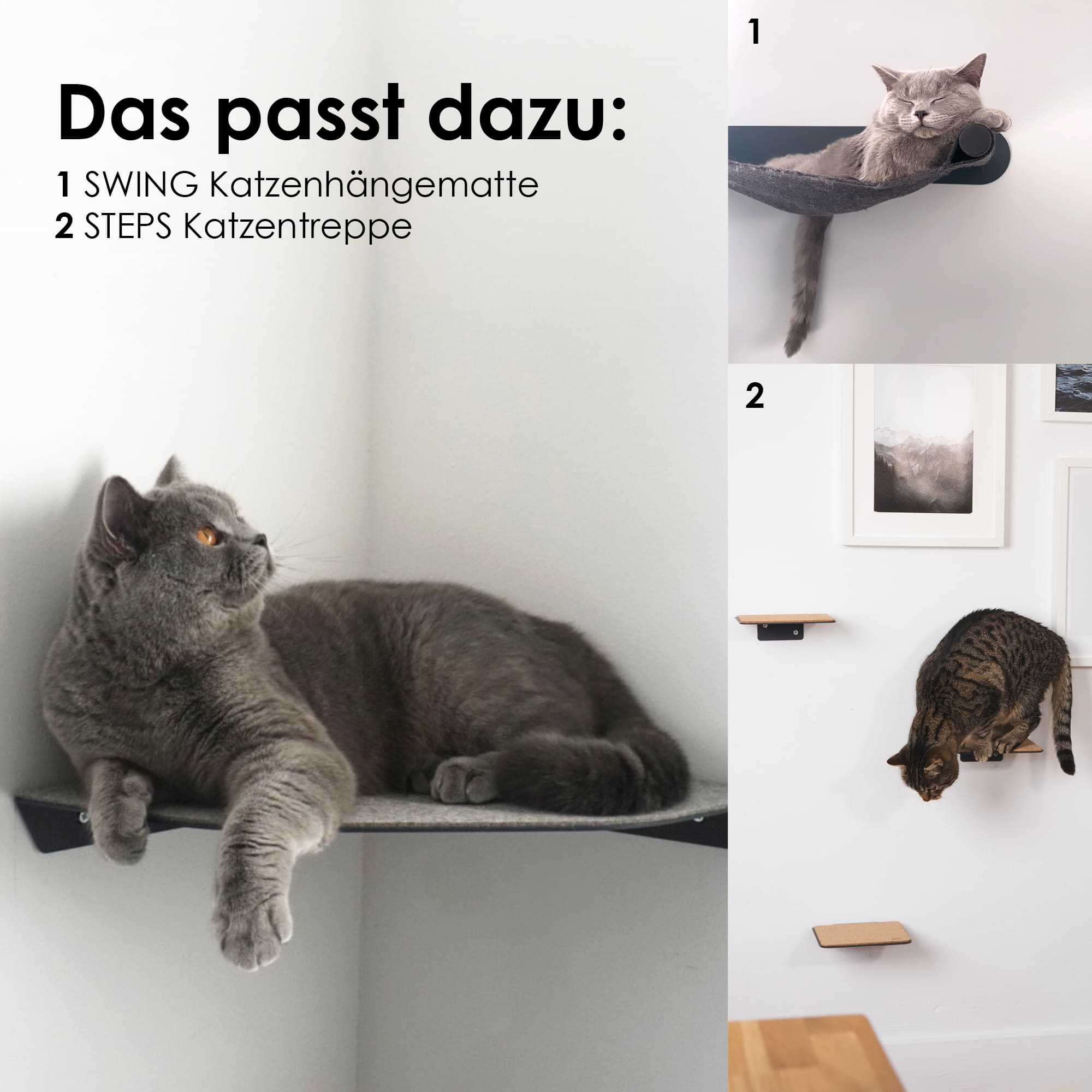 CORNER Kattenligstoel & Klimtrap voor de hoek