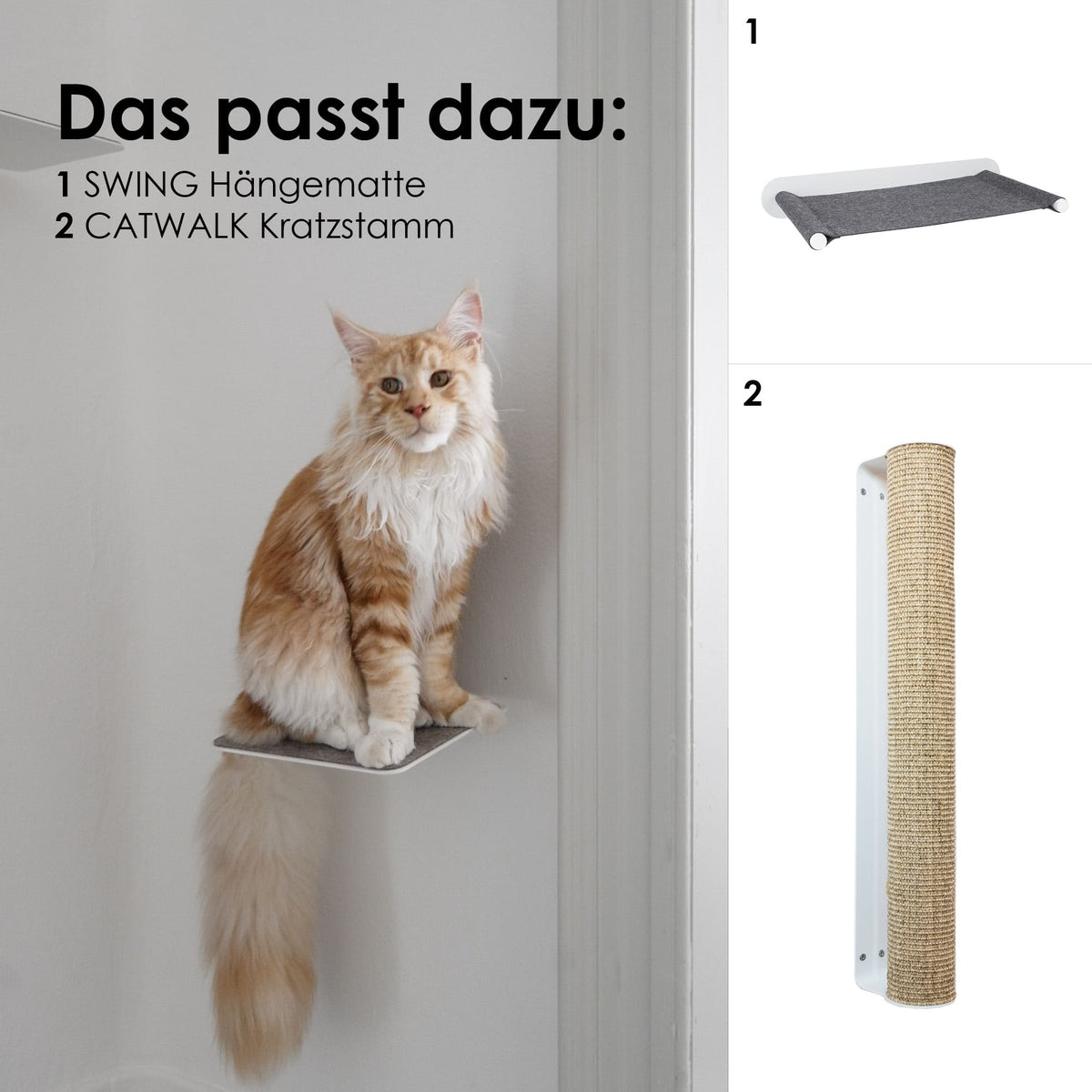 STEPS Kattentrappen