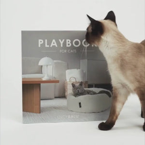PLAYBOOK Interactive cat toy