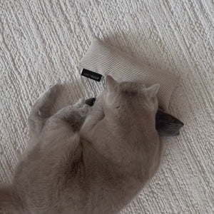 KICK BUNNY Katzenkissen Produktvideo