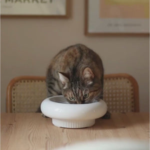 MYCO Katzennapf Produktvideo