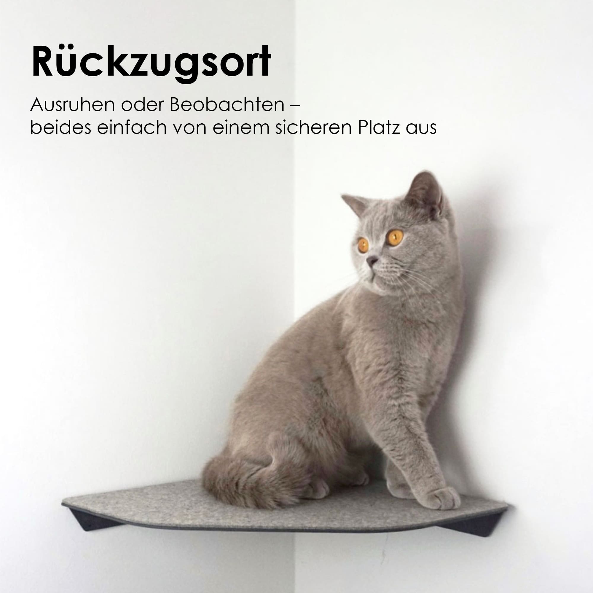 CORNER Kattenligstoel & Klimtrap voor de hoek