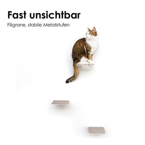 STEPS Kattentrappen