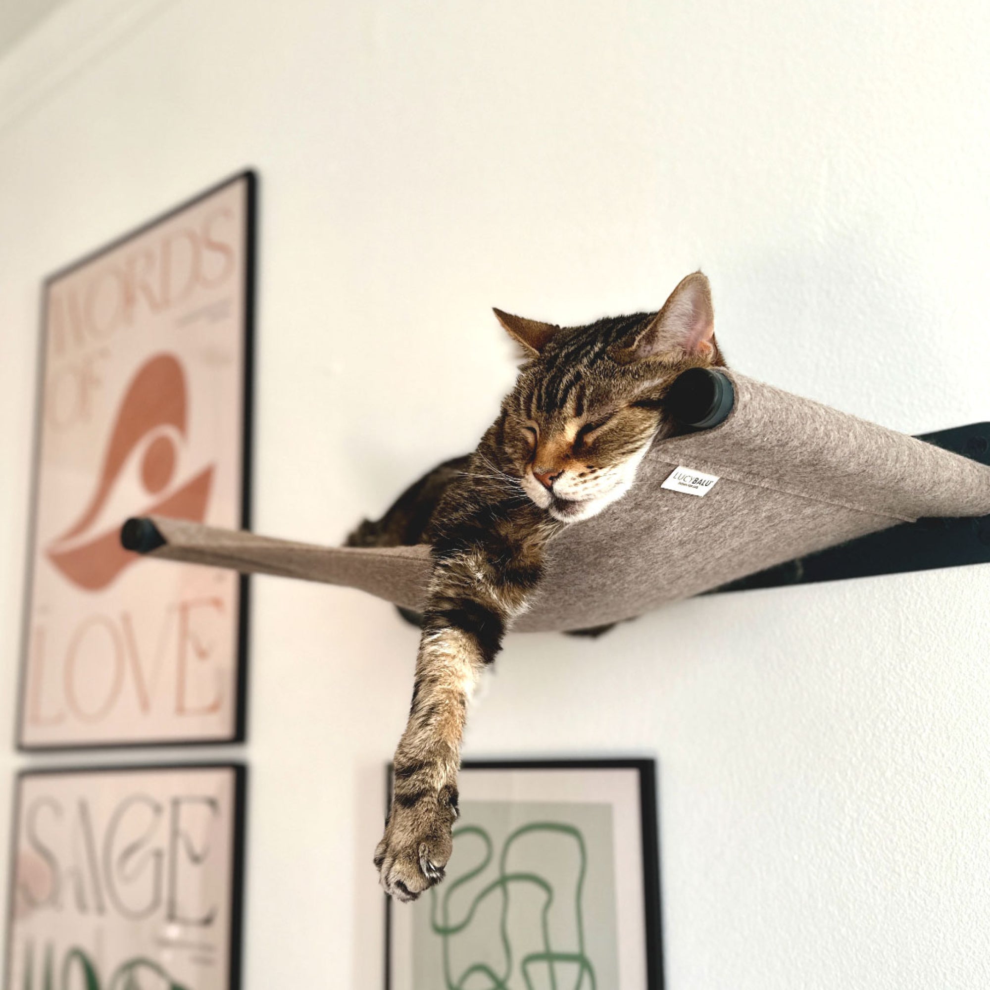 Katze schläft tiefenentspannt auf einer beigegrauen Hängematte, eine Pfote hängt locker über den Rand – darunter stilvolle Wanddeko.