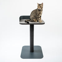 Arbre à chat